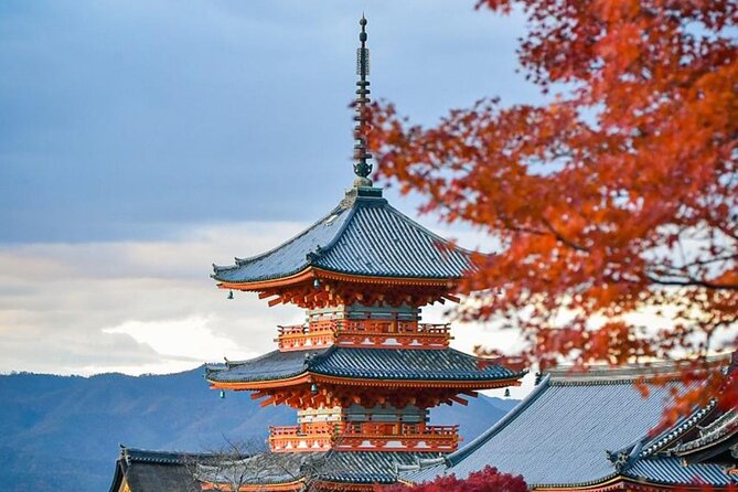 Kyoto Private Customized Day Tour with Guide - Why this Kyoto private tour beats the transit shuffle