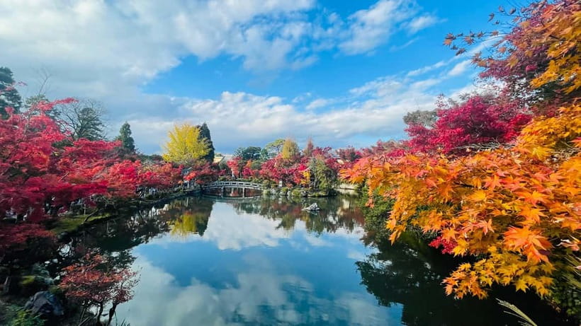 Kyoto: Private Customized Tour With English Speaking Guide - Yasaka Pagoda at Sunset: One Stop That Changes the Whole Mood
