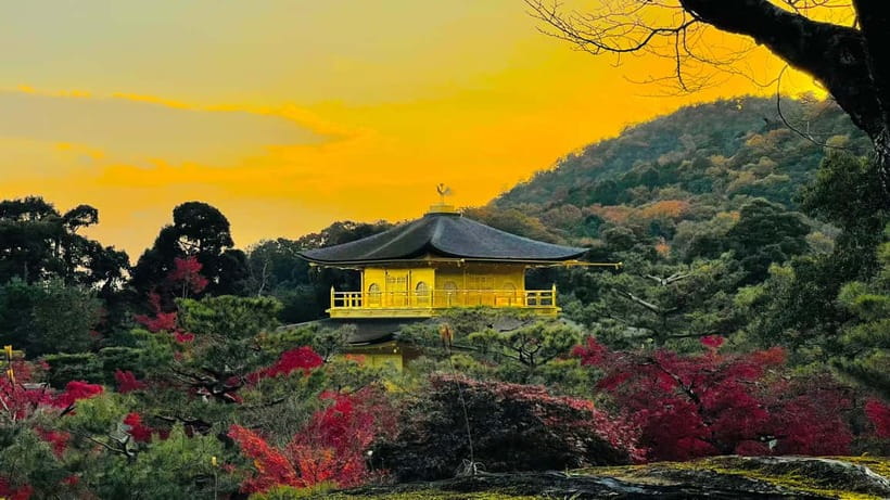 Kyoto: Private Customized Tour With English Speaking Guide - Fushimi Inari Taisha Torii Trail: How to Walk It for Better Photos