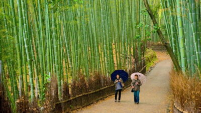 Private Day Tour with English-Speaking Driver