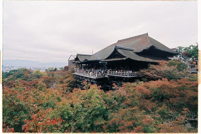 Kyoto Private Day Tour with English-Speaking Driver from Kyoto - Fushimi Inari-taisha: Torii Tunnels to End the Day