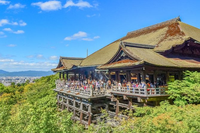 Kyoto Private Day Trip - Enjoy Your First-Time Visit to Kyoto! - Price and Logistics: What You’re Really Paying For