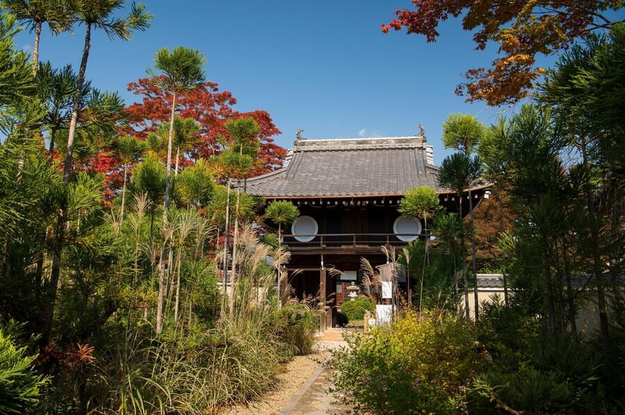 Kyoto: Private Full-Day Customizable World Heritage Tour - Kiyomizudera and Genko-an: Build Your Viewpoint Strategy