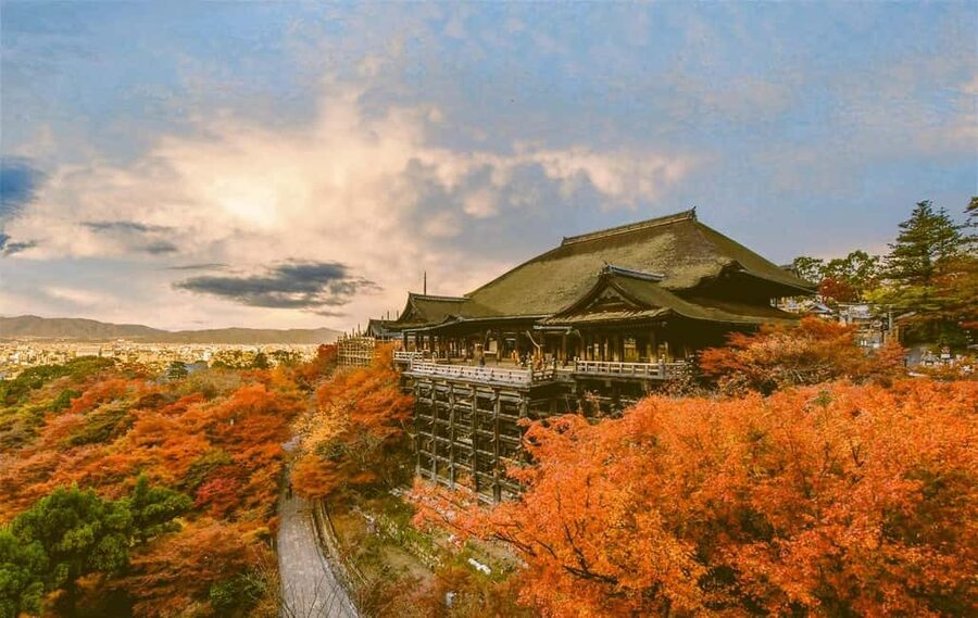 Kyoto Private Highlights Tour from Kyoto&Osaka—English guide - Kinkaku-ji: The Gold Pavilion Moment You Can See Clearly