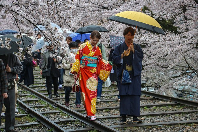 Kyoto Private & Personalized Half-Day Walking Tour with a Local - The 1895 torii gate and Kyoto founding links