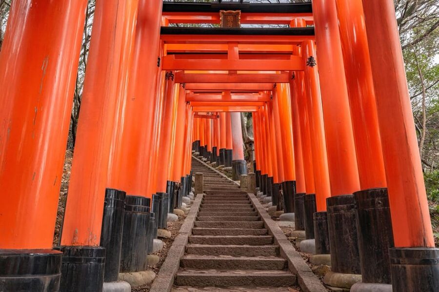 Kyoto: Private tour with Kyoto's licensed guide. Spanish - What to pack, how much walking to expect, and who it is not for