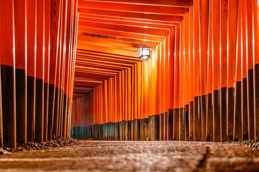 Kyoto: Private tour with Kyoto's licensed guide. Spanish - Nijo Castle and Edo-era power in 90 minutes of focus