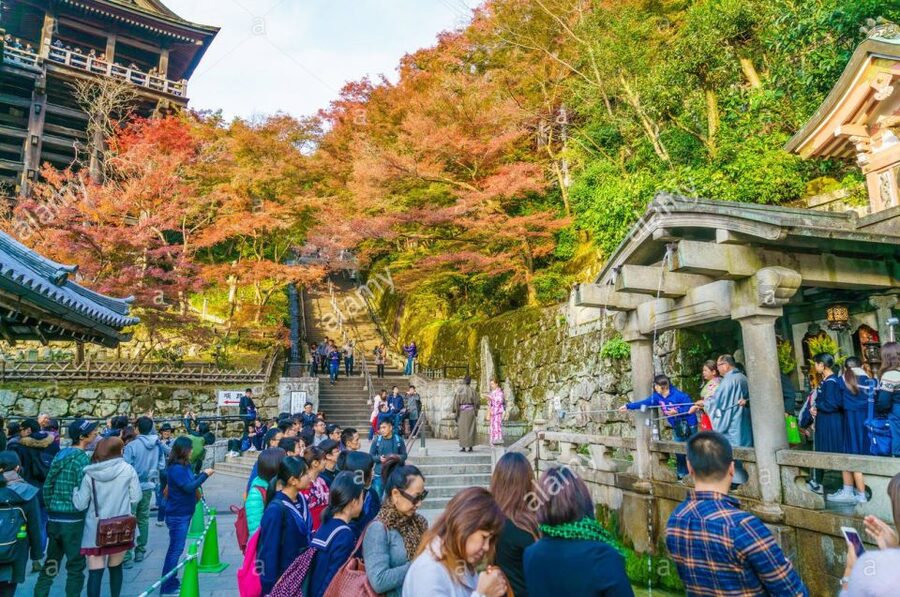 Kyoto: Private Tour with Local Licensed Guide - Fushimi Inari-taisha: Torii Gates, Shrine Meaning, and Timing