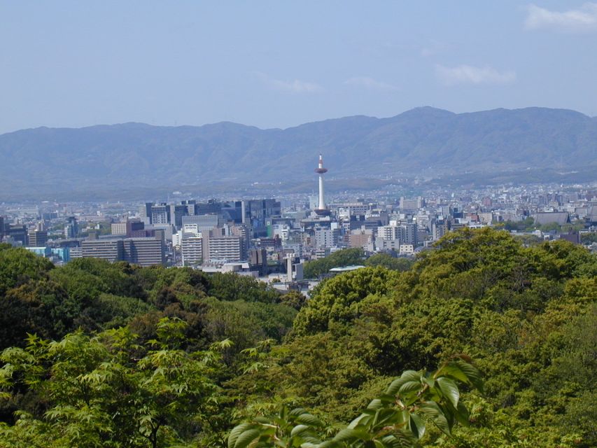 Kyoto: Private Tour with Local Licensed Guide - How the 4, 6, or 8-Hour Timing Changes Your Kyoto Choices