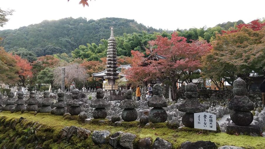 Kyoto:Quiet Arashiyama and Sagano Temples - Meeting at JR Saga-Arashiyama Station and getting your bearings fast
