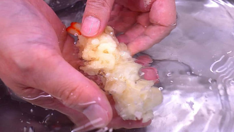 Kyoto: Replica food making experience - Who should book this Kyoto replica food workshop
