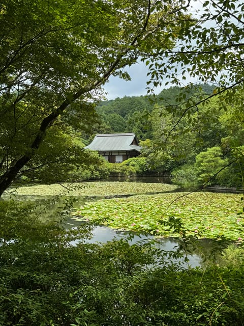 Kyoto: Ryōan-ji, Greatest Zen Garden Guided Tour in 90 Min. - Stop 1: 龍安寺山門 and the start of your guided rhythm