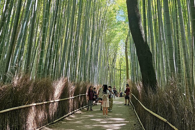 Kyoto's Arashiyama Bamboo Grove: 3-Hour Guided Tour - Key highlights you will care about