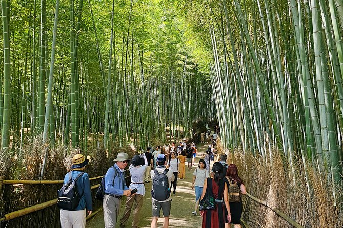 Kyoto's Arashiyama Bamboo Grove: 3-Hour Guided Tour - Tenryu-ji Temple stop: quiet time in a famous setting