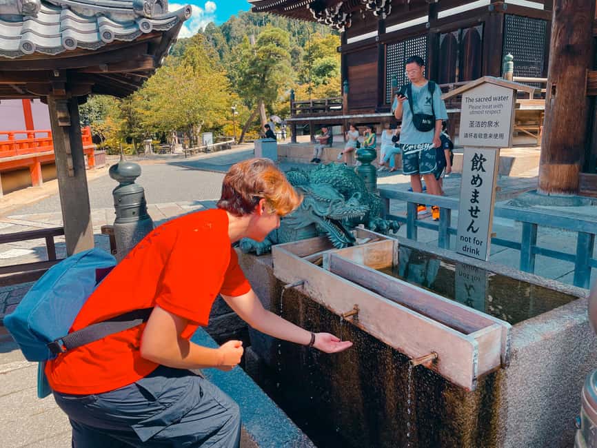 Kyoto's Soul: Gion & Kiyomizudera Historical Walking Tour - Kiyomizudera Temple: panoramic views plus the pure water story