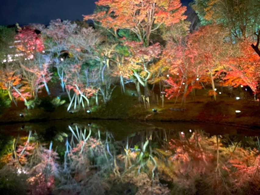 Kyoto’s Timeless Charm: 3hr Exploration of History and Peace - A 3-hour Kyoto loop that feels calm, not rushed