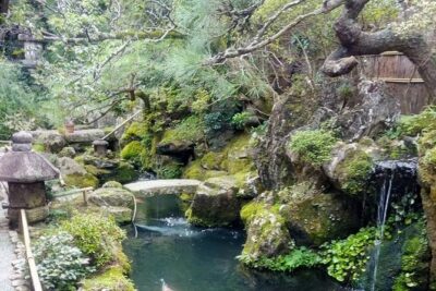 Kyoto’s Top City Highlights: 2-Day Private Tour Experience