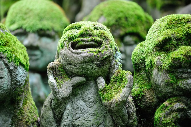 Kyoto Sagano Insider: Rickshaw and Walking Tour - Who Should Book This Arashiyama Tour, and Who Might Skip It