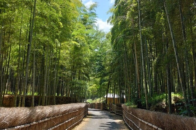 Kyoto Sakura & Hidden Gems of Timeless Tradition - End Point Near Arashiyama: Finishing Where You Want to Continue