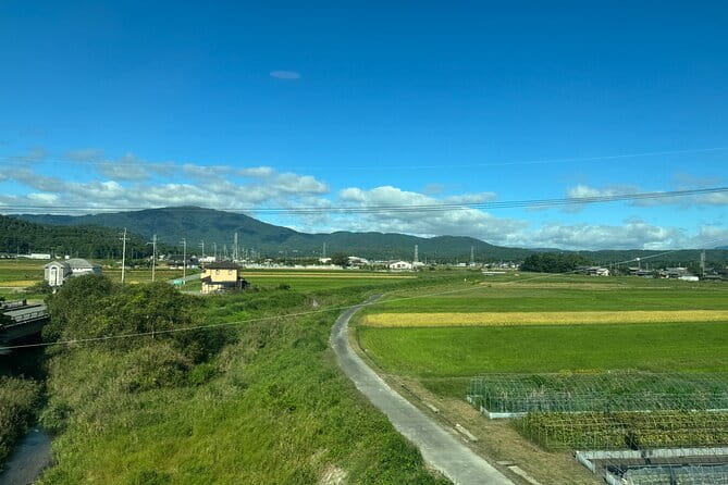 Kyoto Satoyama Cycling with Lunch and English guide - Logistics that matter: timing, meeting point, and riding conditions