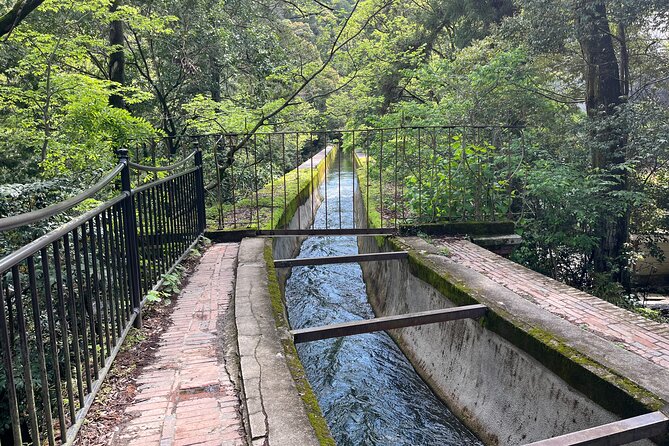 Kyoto Silver Pavilion Private 4-Hour Guided Tour - Price and what you’re really paying for