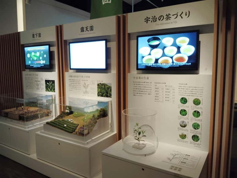 Kyoto: Tea Museum and Tsuen Teahouse Guided Tour - The Uji Bridge area and Tsuen Main Branch stop