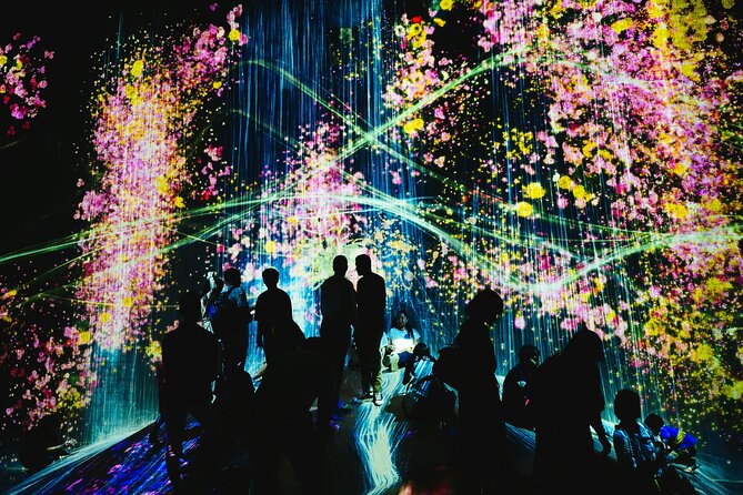 Kyoto TeamLab Biovortex & Kyoto Walking Tour - The key attractions in this Kyoto walking plus teamLab plan