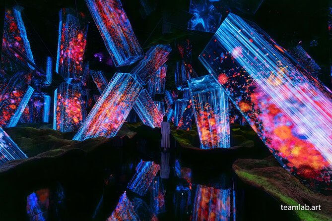 Kyoto TeamLab Biovortex & Kyoto Walking Tour - teamLab Biovortex Kyoto: interactive digital art inspired by nature and the body