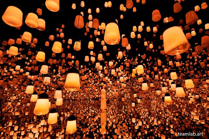 Kyoto TeamLab Biovortex & Kyoto Walking Tour - How much time you get at each stop, and how to use it