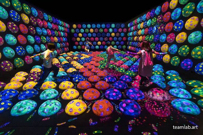 Kyoto TeamLab Biovortex & Kyoto Walking Tour - Price and value: what $72 includes, and what it does not
