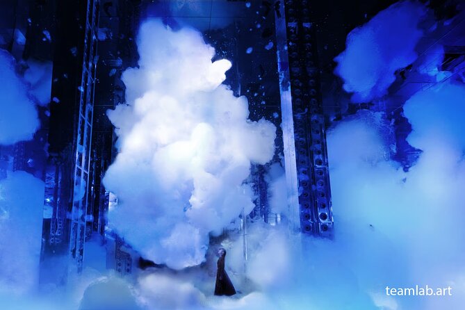 Kyoto TeamLab Biovortex & Kyoto Walking Tour - Who should book this tour, and who might want a different approach