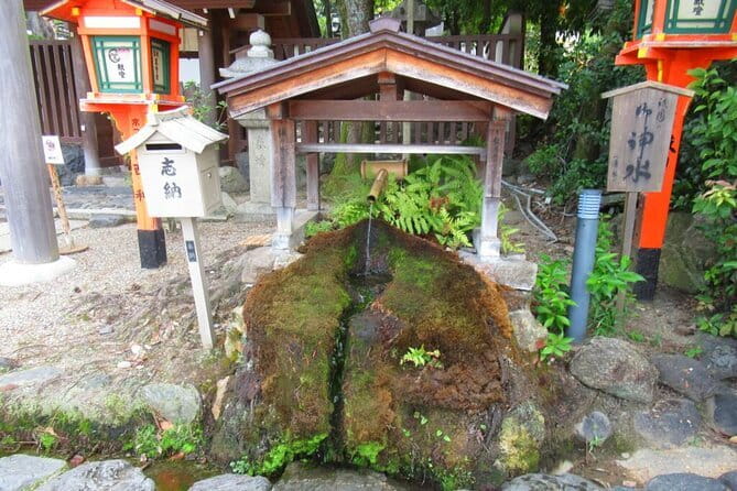 Kyoto: Temple Yoga, Tour of Four Spring Waters & Nourishing Lunch - The Kyoto tofu obanzai lunch that keeps you steady