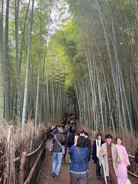 Kyoto: The Heart of Arashiyama, Bamboo Forests and Sacred Temples - Key things I’d plan around