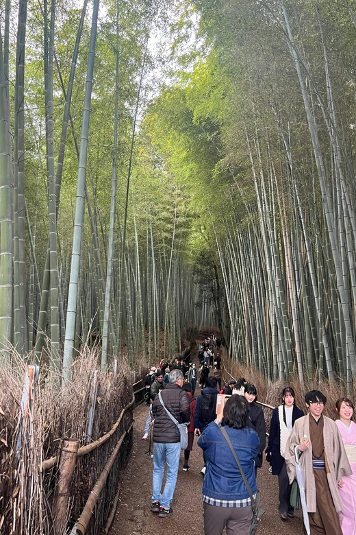 Kyoto: The Heart of Arashiyama, Bamboo Forests and Sacred Temples - Getting Started at Kyoto Station: The Easiest Way In