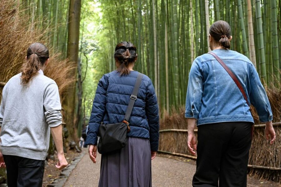Kyoto to Arashiyama Day Trip - Private & Personalized - From Kyoto Tram to Arashiyama Views in a Single Breath
