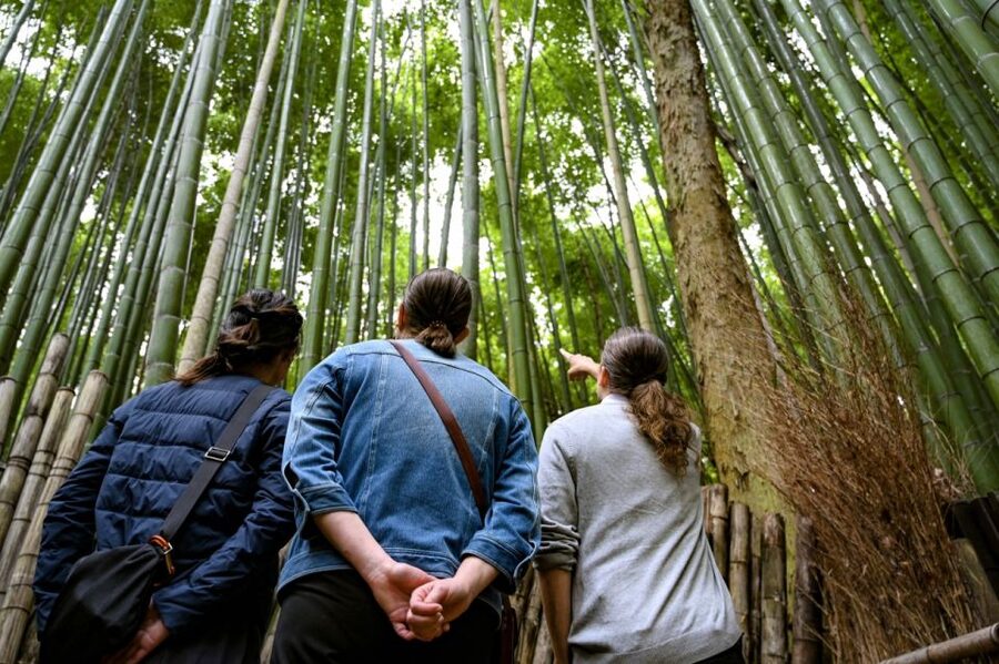 Kyoto to Arashiyama Day Trip - Private & Personalized - Monkey Park Iwatayama, Then the Hozu gawa Rowing That Feels Like Weather