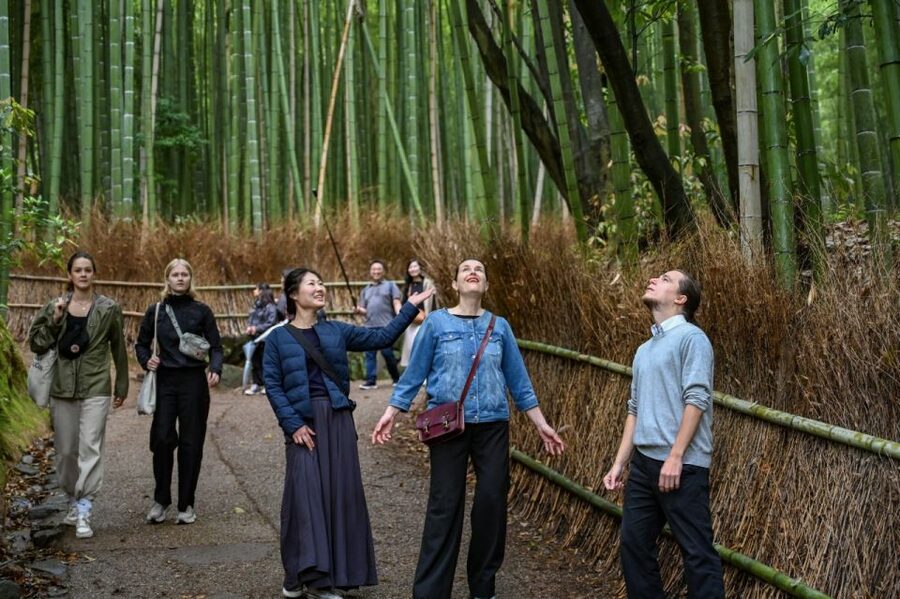 Kyoto to Arashiyama Day Trip - Private & Personalized - Tenryu ji Gardens, Then the Bamboo Grove Walk That Changes Your Mood