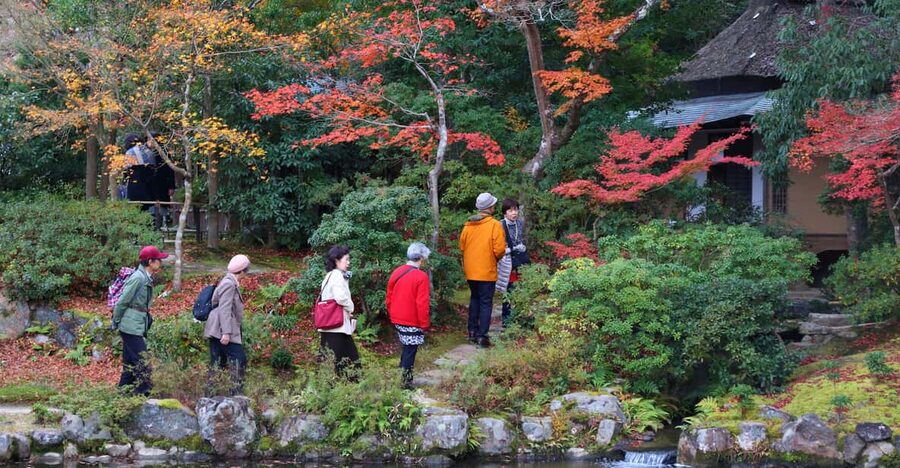 Kyoto to Nara: Private Day Trip with a Local - Key points worth planning around