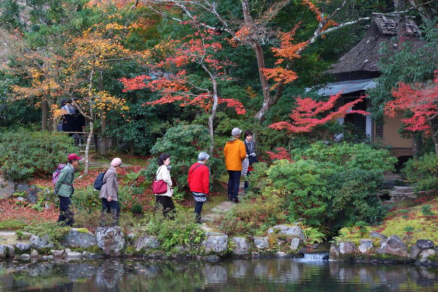 Kyoto to Nara: Private Day Trip with a Local - Higashimuki Shopping Street for snacks and simple souvenirs