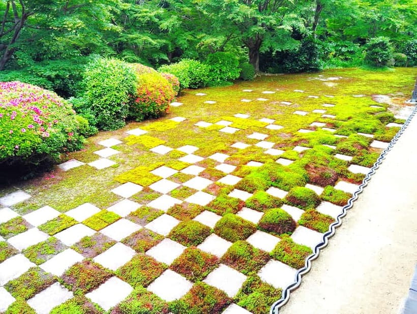 Kyoto: Tofuku-ji Temple and Komyo-in Guided Walking Tour - Komyo-in and Hashin-tei Garden: the quieter Shigemori expression