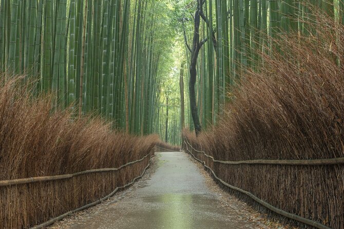 Kyoto top must-see Golden pavilion and Bamboo forest half-day Private tour - Kinkakuji Temple: The Golden Pavilion First, While Your Day Is Fresh