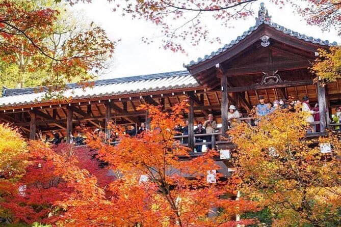 Kyoto tour 12 hours Private Nagoya pick up available - Kyoto private car service, minus the transit headache