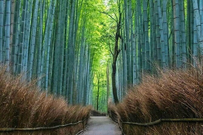 Kyoto tour 12 hours Private Nagoya pick up available - Stop 1: Arashiyama and the Togetsukyo Bridge views