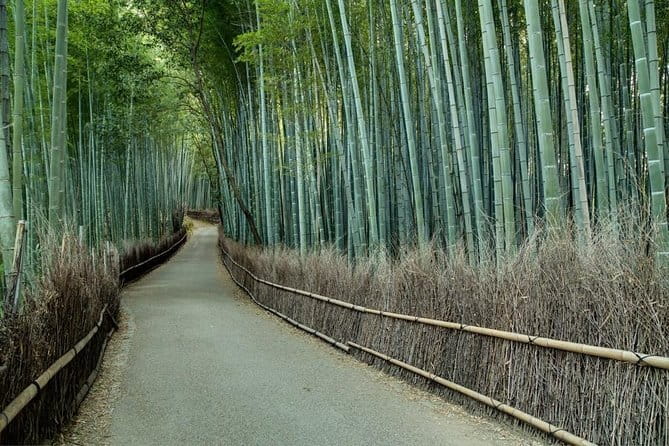 Kyoto Tour by Car from Kyoto Osaka Kobe - Your Route: Tenryu-ji to Fushimi Inari, with Built-In Timing