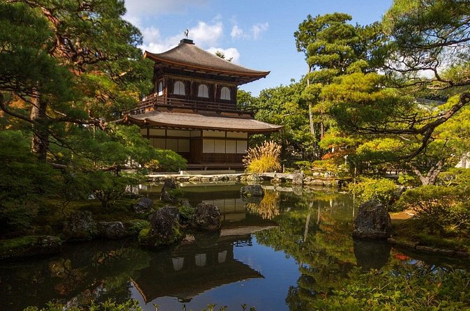 Kyoto tour with English Speaking Chauffeur - Chauffeur quality: when it becomes more than just driving