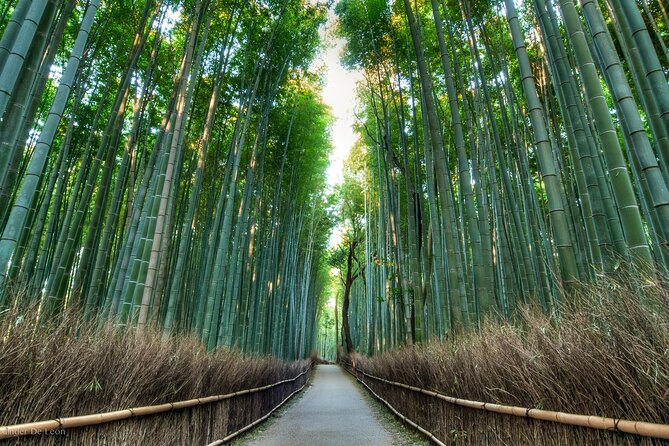 Kyoto tour with English Speaking Chauffeur - What is included in your day, and why it matters