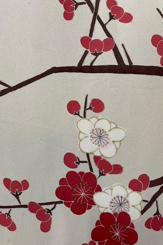 Kyoto: Traditional Yuzen Dyeing Experience - Pre-outlined designs: the big reason you get results