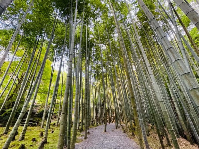 Kyoto : True Kyoto Avoid the crowds E-Bike Tour - Key reasons this Kyoto e-bike tour works so well