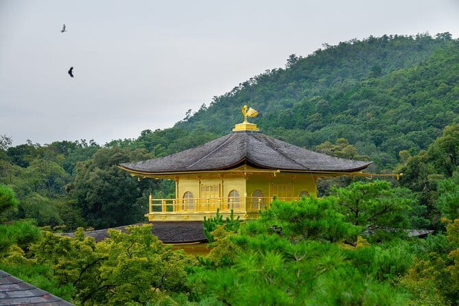 Kyoto & Uji: Full Day Sightseeing Tour from Osaka or Kyoto - Kyoto plus Uji in one day: why this tour makes sense
