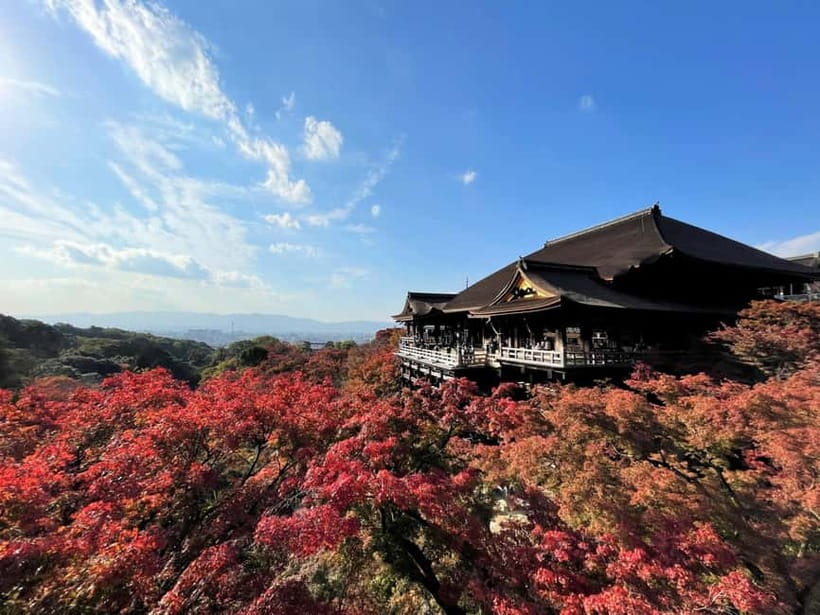 Kyoto UNESCO World Heritage Sites 1d Tour from Osaka/Kyoto - Key highlights that make this day trip work